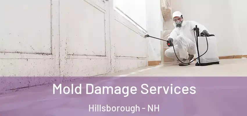  Mold Damage Services Hillsborough - NH