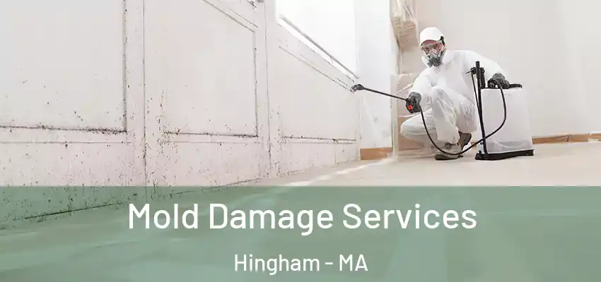 Mold Damage Services Hingham - MA