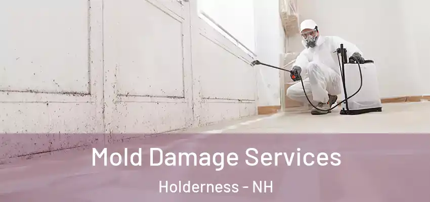 Mold Damage Services Holderness - NH