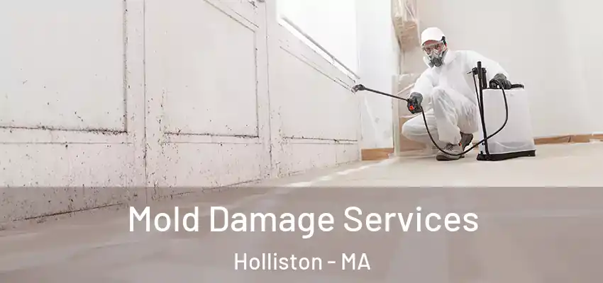 Mold Damage Services Holliston - MA