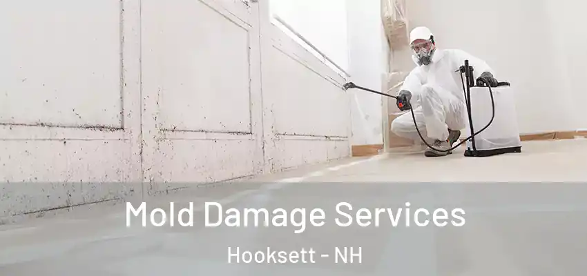 Mold Damage Services Hooksett - NH