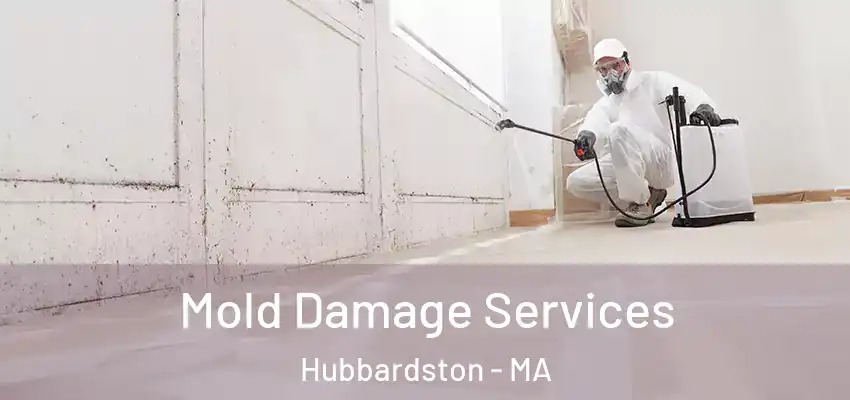 Mold Damage Services Hubbardston - MA