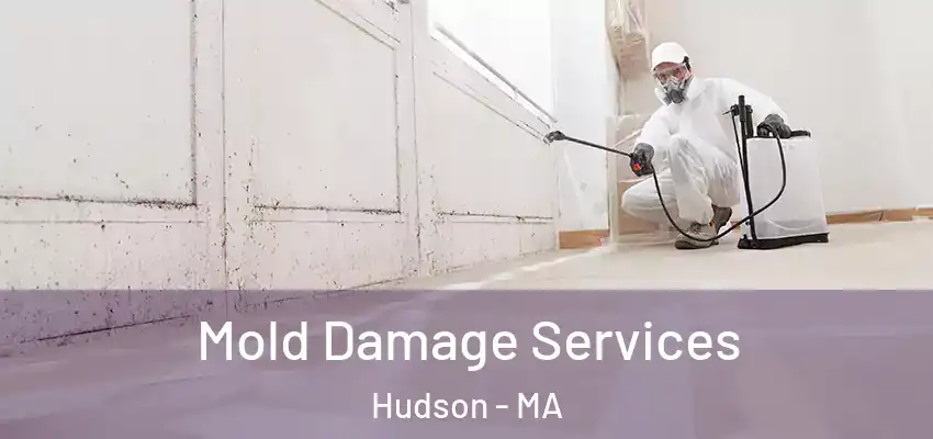 Mold Damage Services Hudson - MA