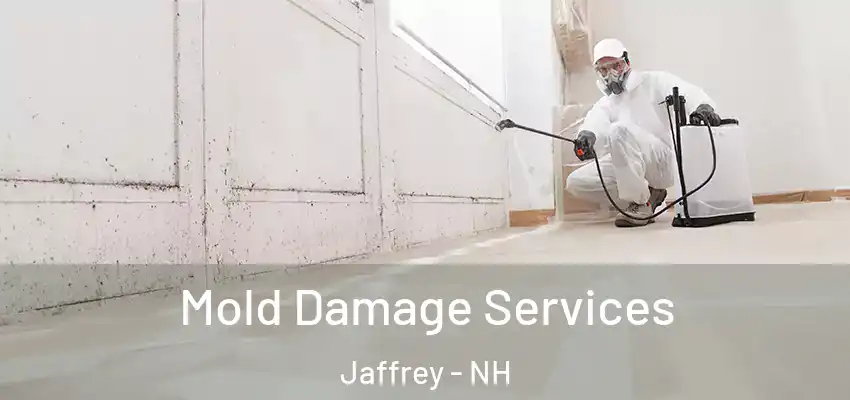 Mold Damage Services Jaffrey - NH