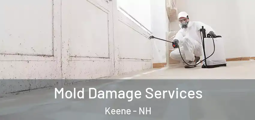Mold Damage Services Keene - NH