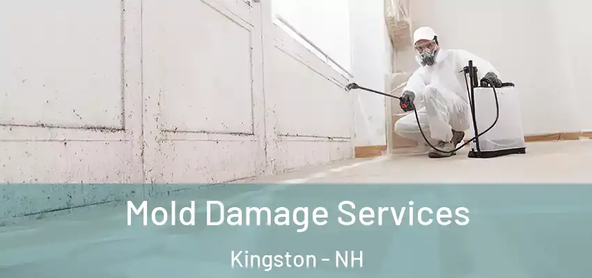 Mold Damage Services Kingston - NH