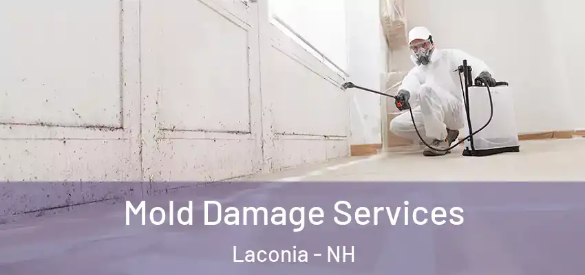 Mold Damage Services Laconia - NH