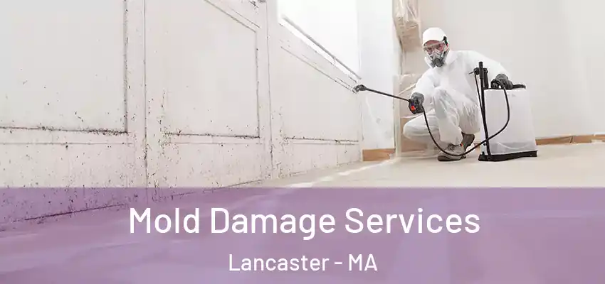 Mold Damage Services Lancaster - MA