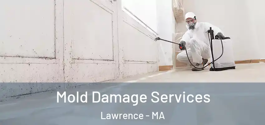 Mold Damage Services Lawrence - MA