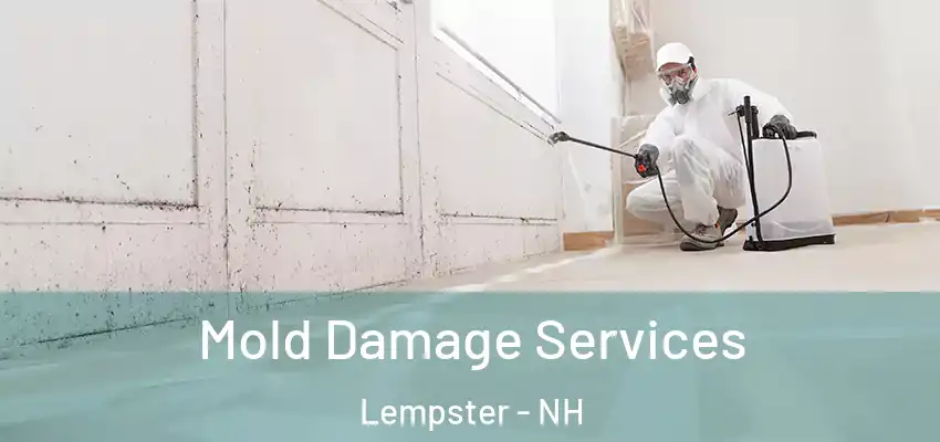 Mold Damage Services Lempster - NH