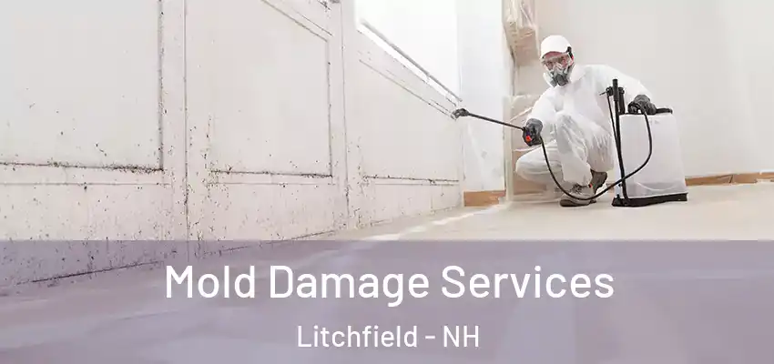  Mold Damage Services Litchfield - NH