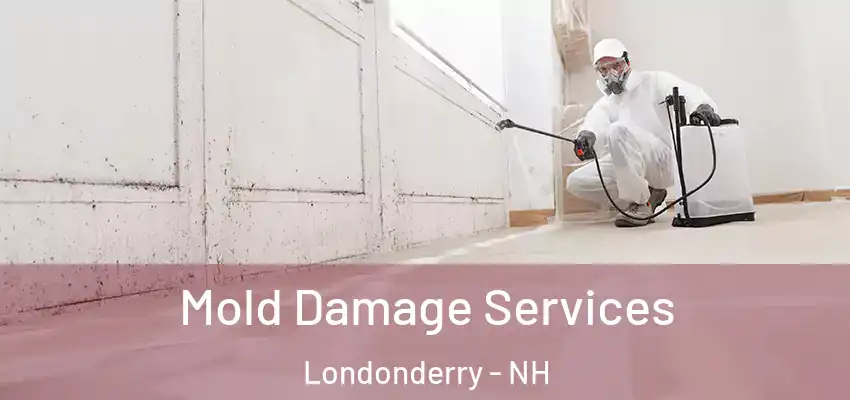 Mold Damage Services Londonderry - NH