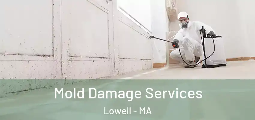 Mold Damage Services Lowell - MA