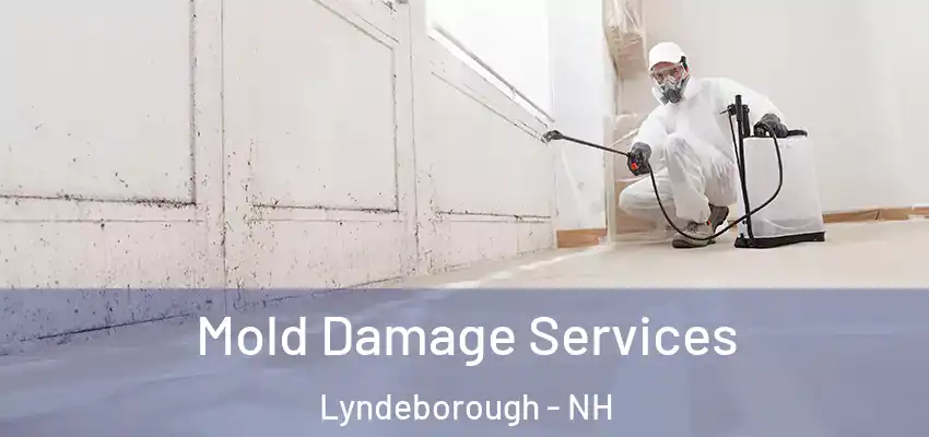 Mold Damage Services Lyndeborough - NH