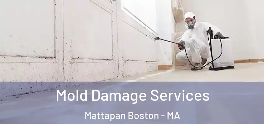 Mold Damage Services Mattapan Boston - MA