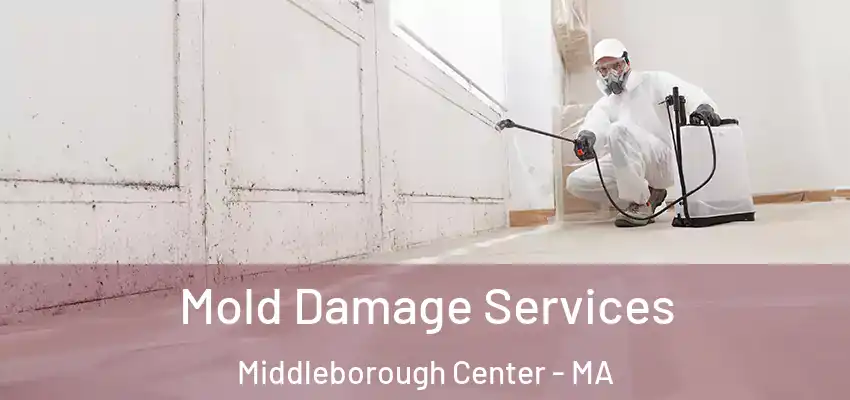 Mold Damage Services Middleborough Center - MA
