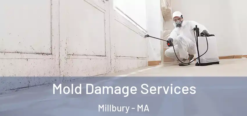 Mold Damage Services Millbury - MA