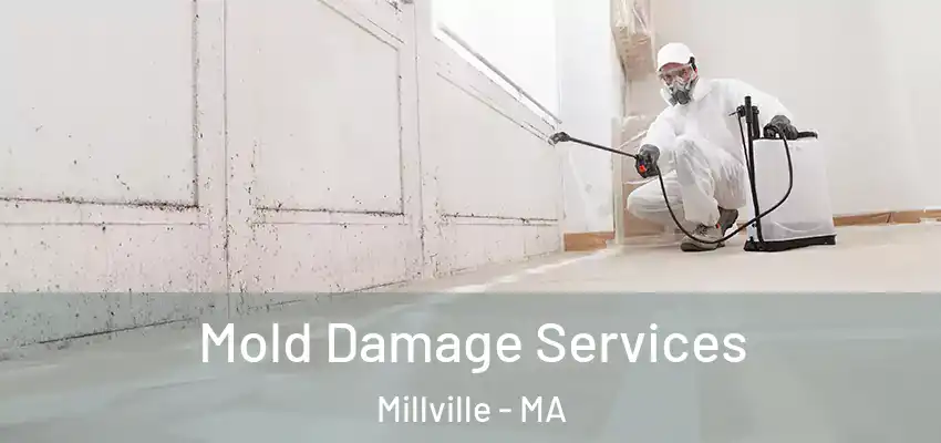 Mold Damage Services Millville - MA