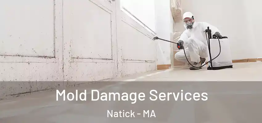 Mold Damage Services Natick - MA