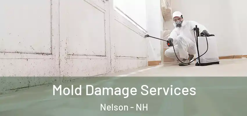  Mold Damage Services Nelson - NH