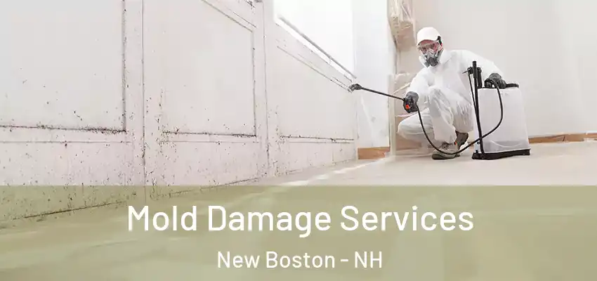 Mold Damage Services New Boston - NH