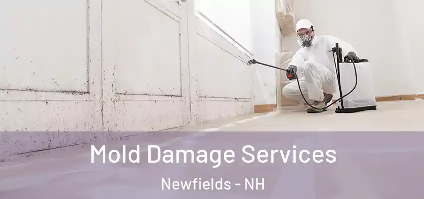  Mold Damage Services Newfields - NH