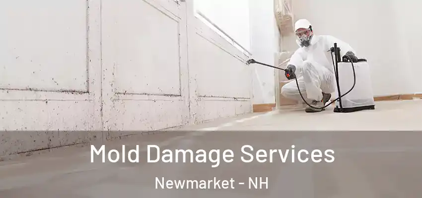 Mold Damage Services Newmarket - NH