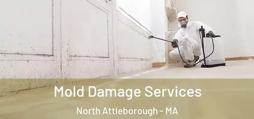 Mold Damage Services North Attleborough - MA