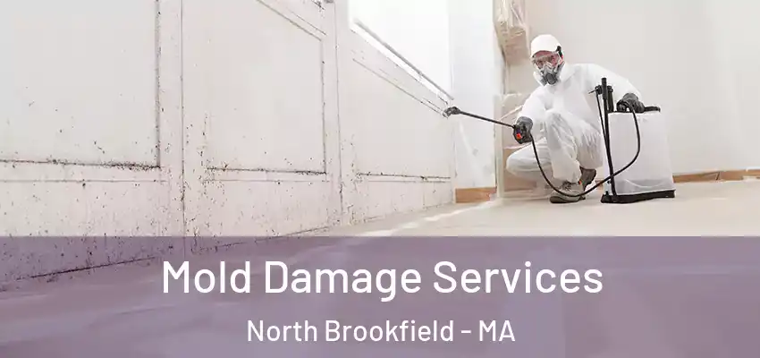 Mold Damage Services North Brookfield - MA
