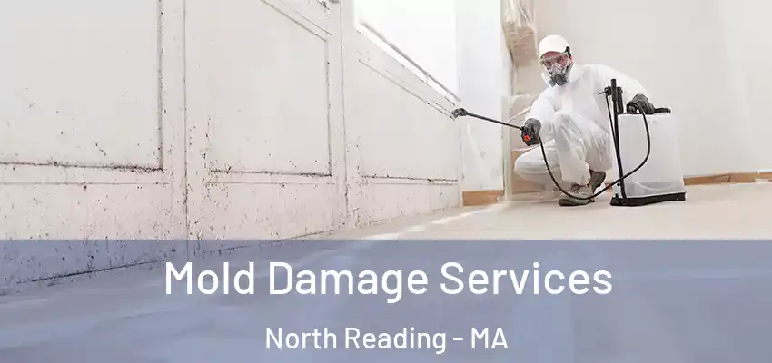  Mold Damage Services North Reading - MA