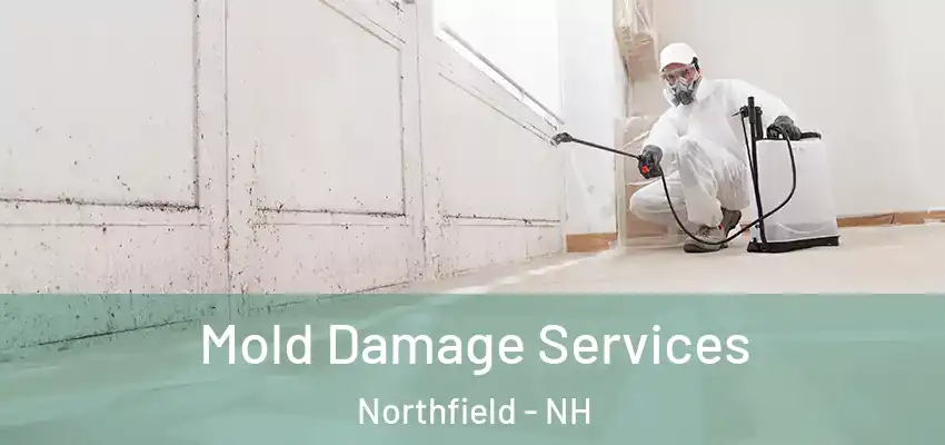 Mold Damage Services Northfield - NH