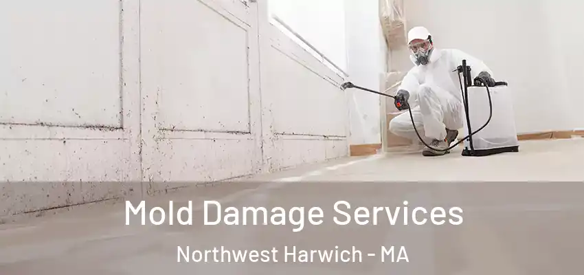 Mold Damage Services Northwest Harwich - MA