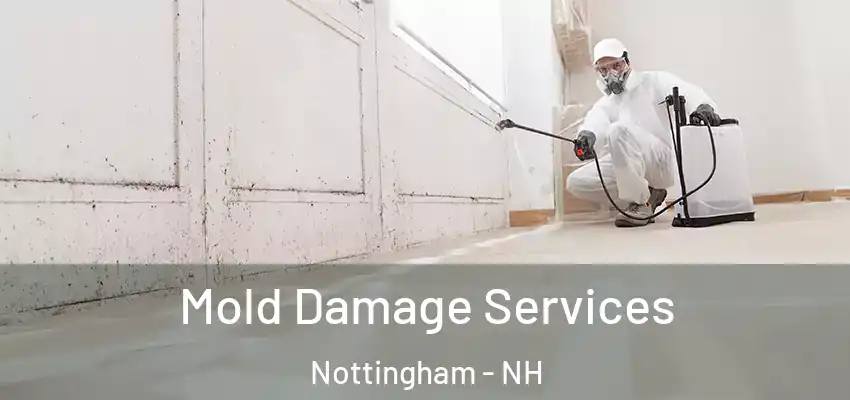 Mold Damage Services Nottingham - NH