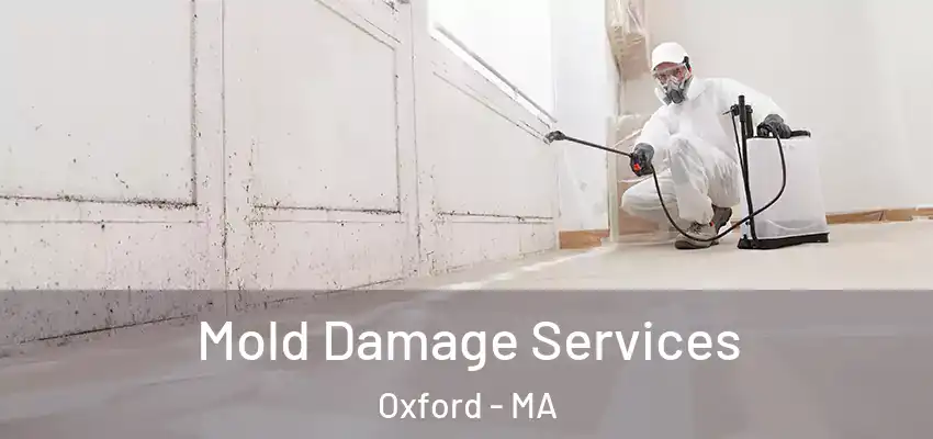  Mold Damage Services Oxford - MA