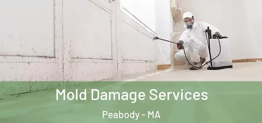 Mold Damage Services Peabody - MA