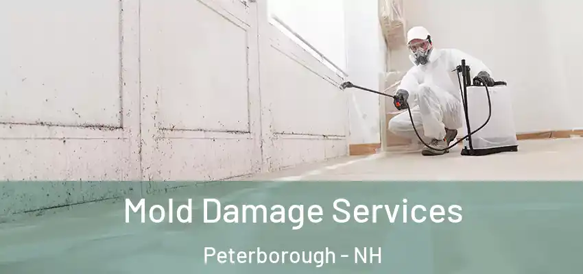 Mold Damage Services Peterborough - NH