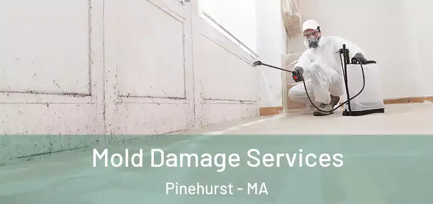 Mold Damage Services Pinehurst - MA
