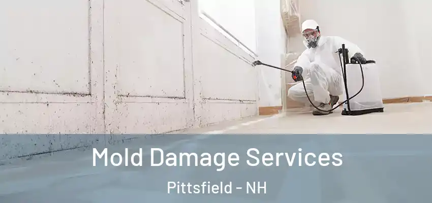  Mold Damage Services Pittsfield - NH