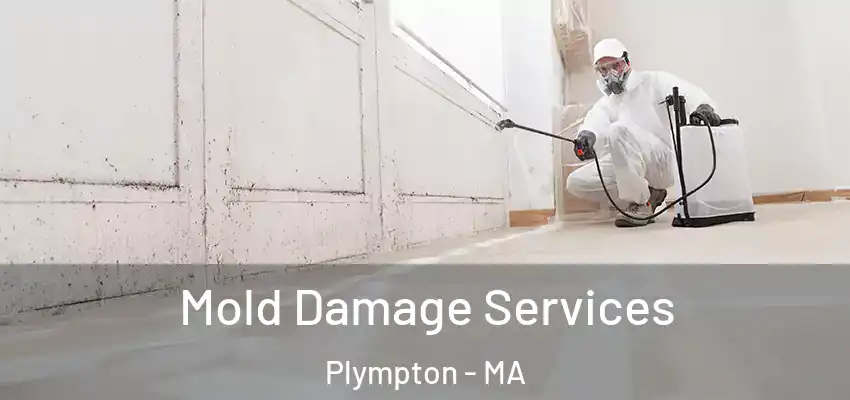 Mold Damage Services Plympton - MA