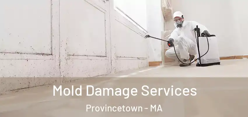  Mold Damage Services Provincetown - MA