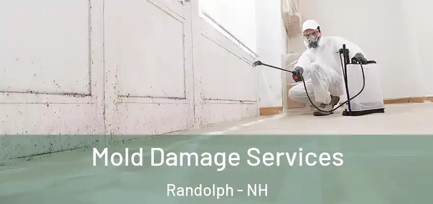 Mold Damage Services Randolph - NH
