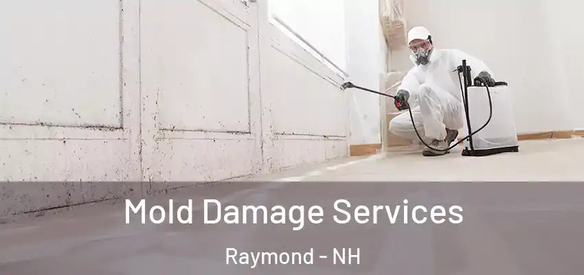 Mold Damage Services Raymond - NH