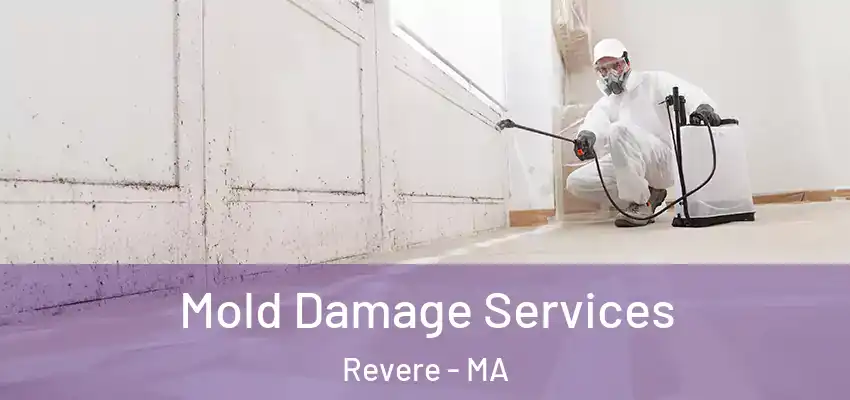 Mold Damage Services Revere - MA