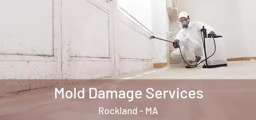  Mold Damage Services Rockland - MA