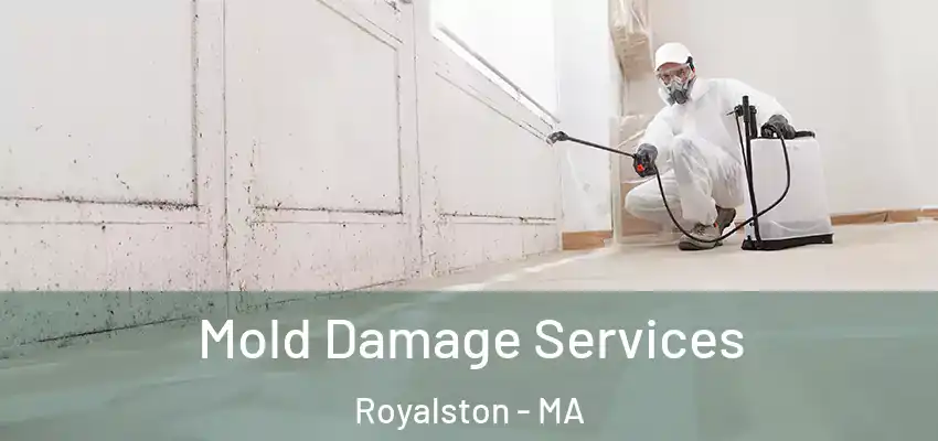 Mold Damage Services Royalston - MA