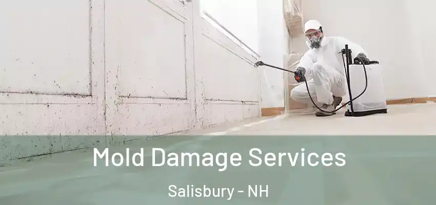 Mold Damage Services Salisbury - NH