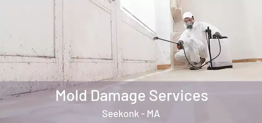 Mold Damage Services Seekonk - MA