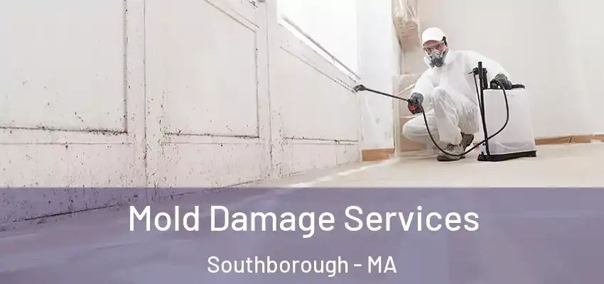 Mold Damage Services Southborough - MA