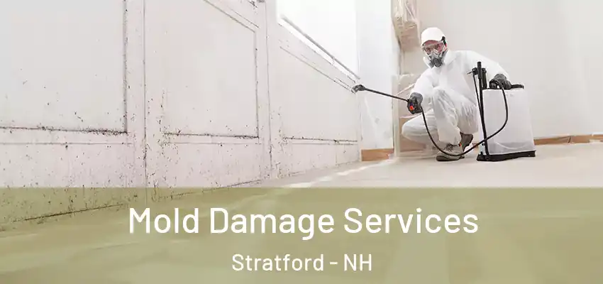 Mold Damage Services Stratford - NH