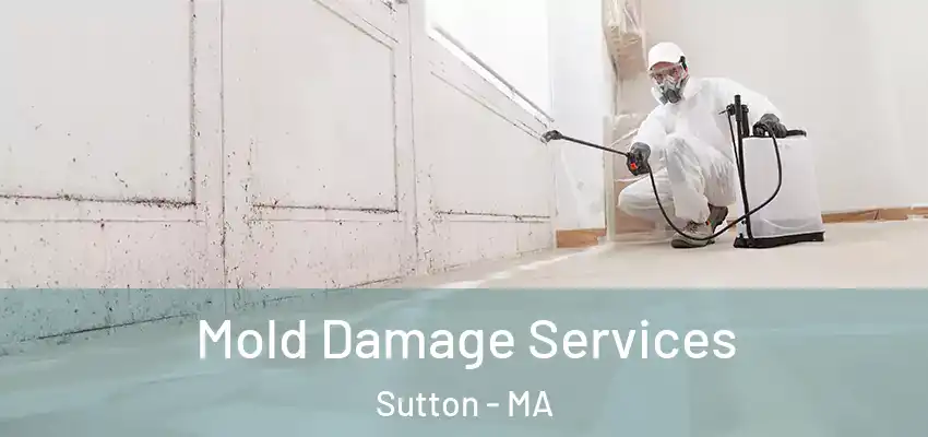 Mold Damage Services Sutton - MA